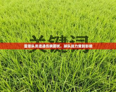 雷恩队员遭遇伤病困扰，球队战力受到影响