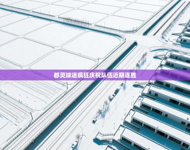 都灵球迷疯狂庆祝队伍近期连胜