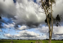 曼联老将离队或开启新生涯，球迷感慨英雄谢幕