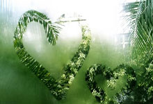 曼联老将离队或开启新生涯，球迷感慨英雄谢幕