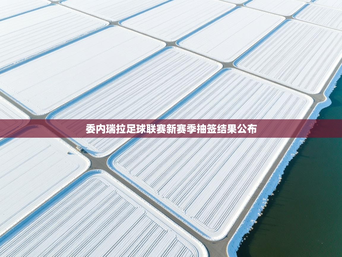 委内瑞拉足球联赛新赛季抽签结果公布  第1张