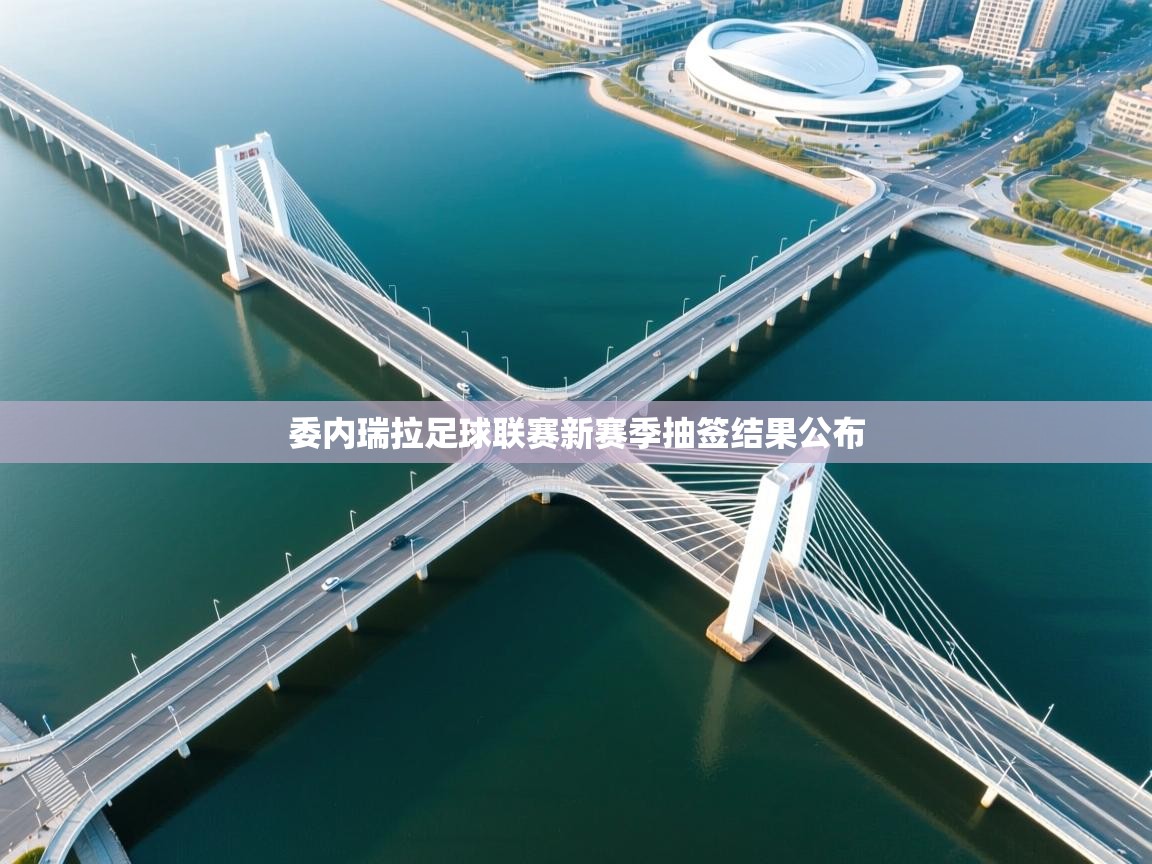 委内瑞拉足球联赛新赛季抽签结果公布  第2张