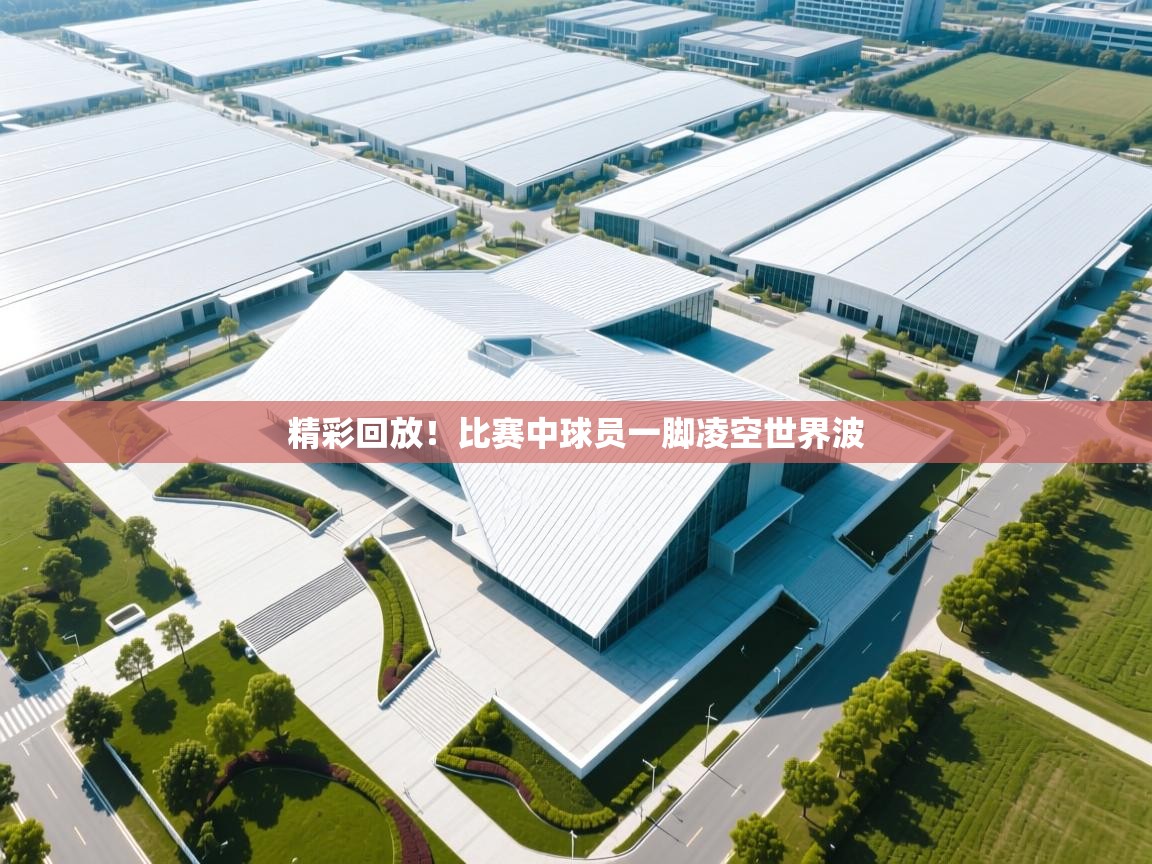 精彩回放!比赛中球员一脚凌空世界波 第2张