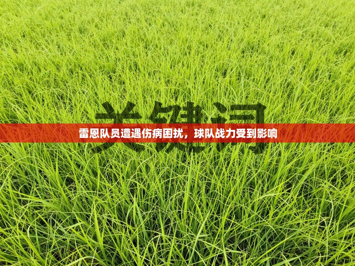 雷恩队员遭遇伤病困扰,球队战力受到影响 第1张