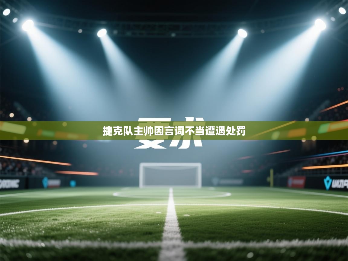捷克队主帅因言词不当遭遇处罚 第1张
