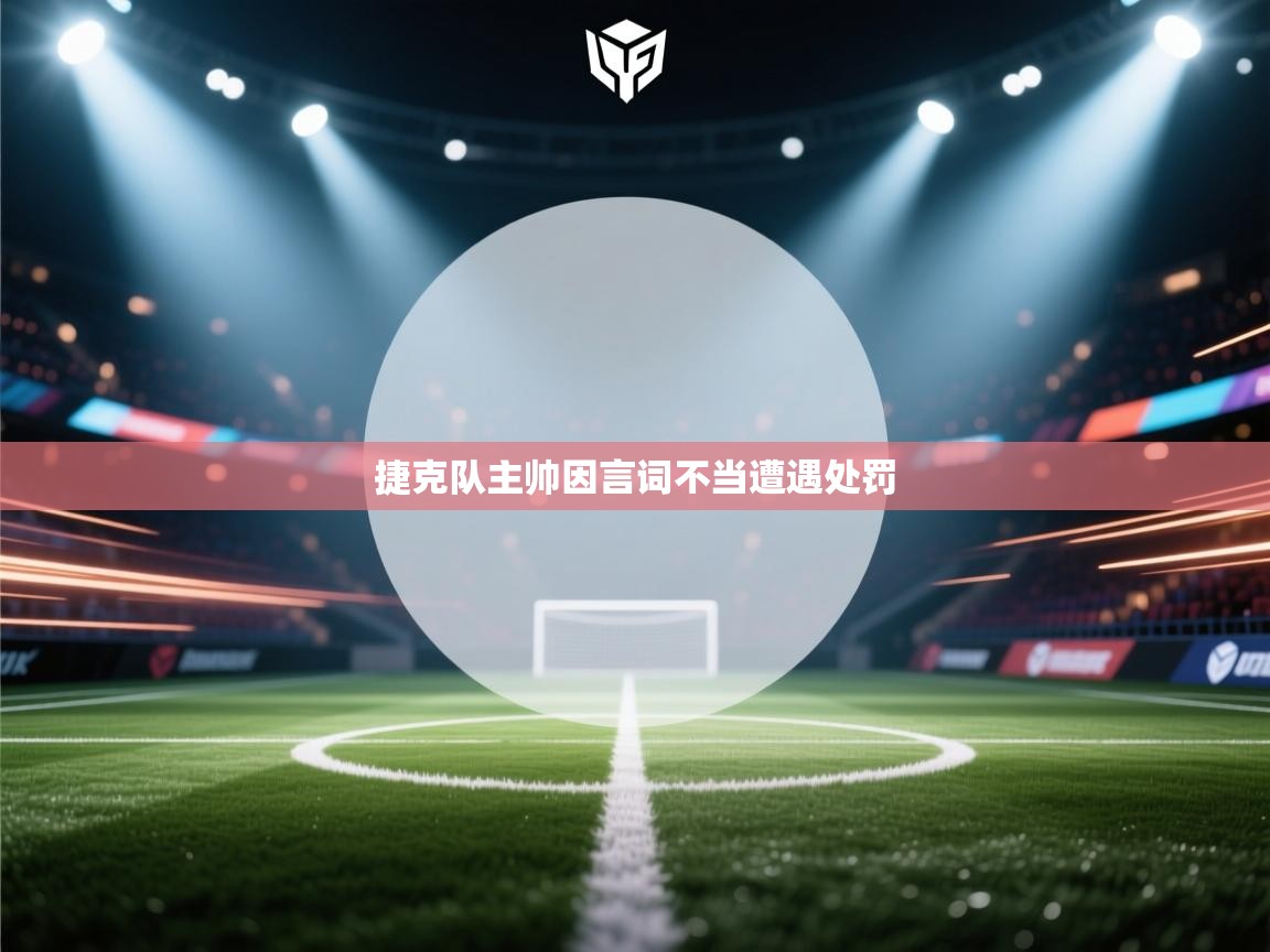 捷克队主帅因言词不当遭遇处罚 第2张