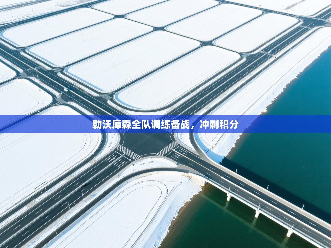 勒沃库森全队训练备战，冲刺积分  第2张